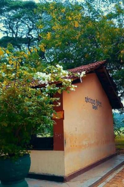 Photo 2021 02 12 12 02 48