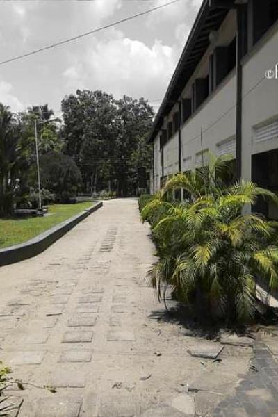 Photo 2021 02 12 12 02 57