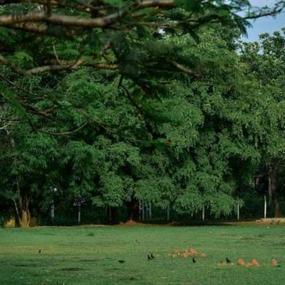 Photo 2021 02 12 12 01 58