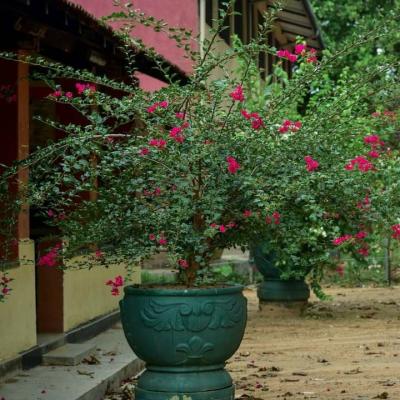 Photo 2021 02 12 12 02 08