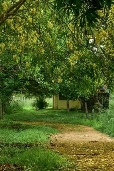 Photo 2021 02 12 12 02 19