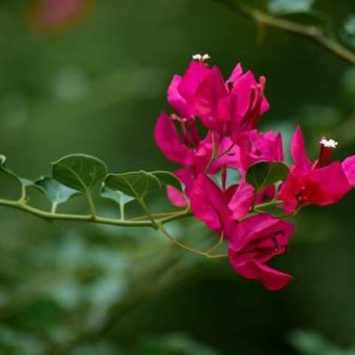 Photo 2021 02 12 12 02 22