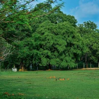 Photo 2021 02 12 12 02 26